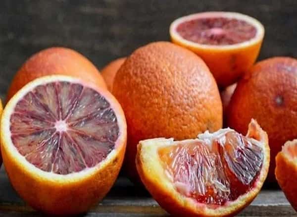تصویر 2 از خرید و قیمت پرتقال یافا خونی + فروش عمده